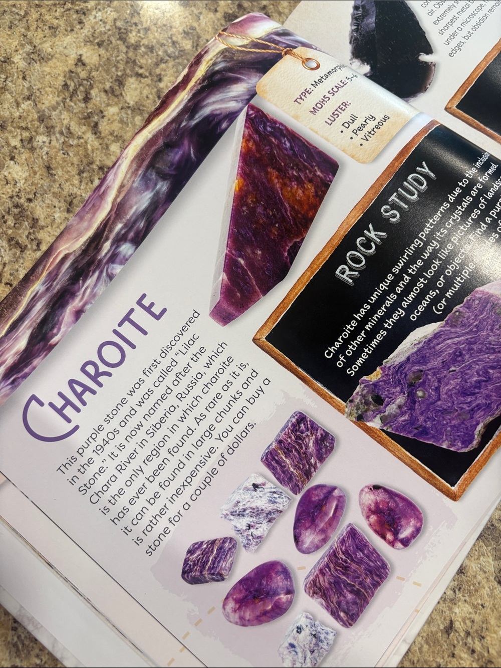 The Good and The Beautiful Homeschool Science Curriculum Unit Studies Grades 3-8 - Picture 9 of 15